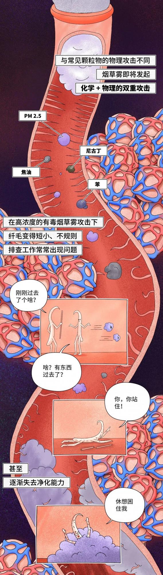 你的肺，就是這樣壞掉的