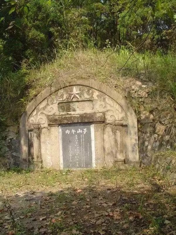 偷挖毛主席祖墳的兇手，躲在長沙當篾匠，舉止怪異，暴露後怎麼判