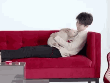 男明星的溫柔與寵溺都給了萌寵,好羨慕 男明星的溫柔與寵溺都給了萌寵,好羨慕