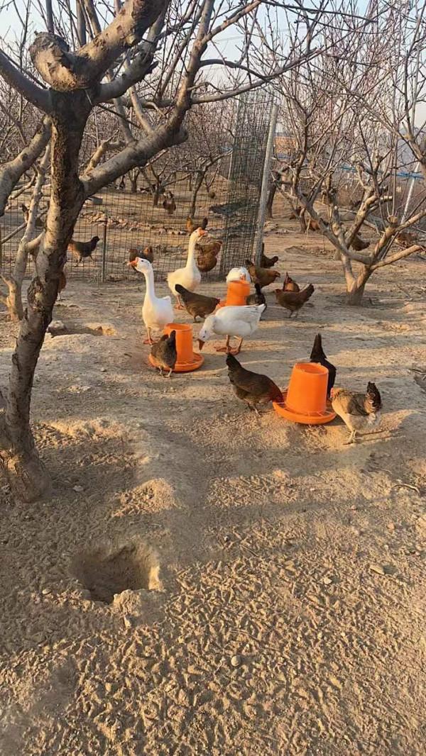 田園自然樂趣多、親子出遊新時尚 田園自然樂趣多、親子出遊新時尚