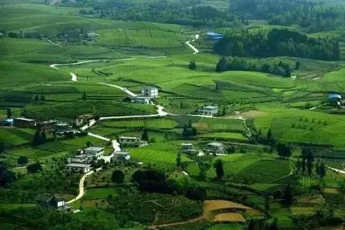 韓國農業問題——壟斷之禍