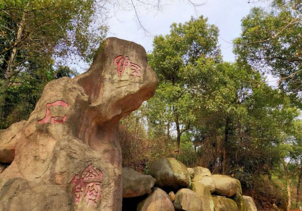 藏在江西深處有個天然迷宮，還擁有小長城，挑戰一次神清氣爽