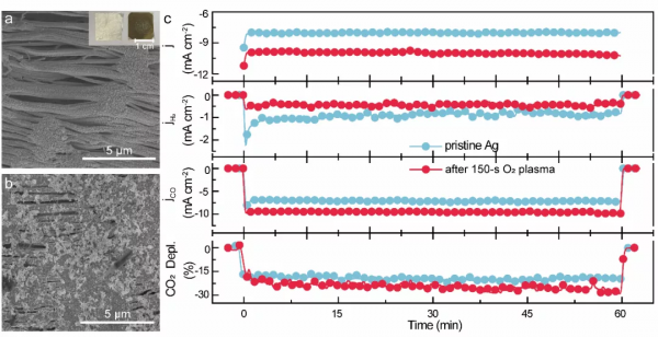 蔣昆EES:CO2電還原的微觀反應環境解析,助力實現工業級電解 蔣昆EES:CO2電還原的微觀反應環境解析,助力實現工業級電解