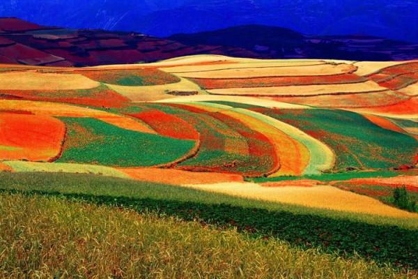 雲南“罕見”景區走紅，比巴西紅土地更壯美，距市區3小時車程