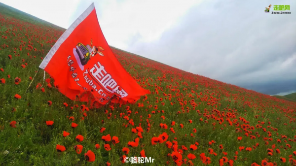 1028名日本人報名遊新疆？新疆顏值實錘了，一年四季，美麗不停歇