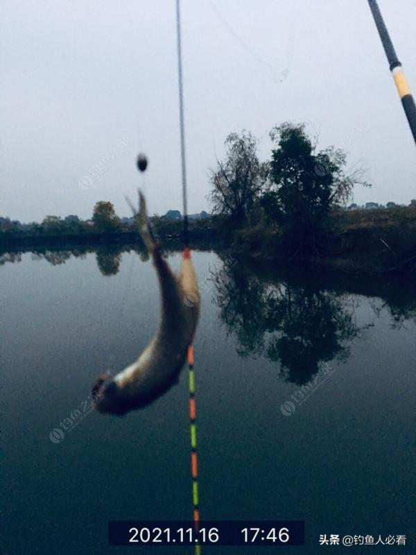 老漢錦囊獻妙計，專治冬天封竿人