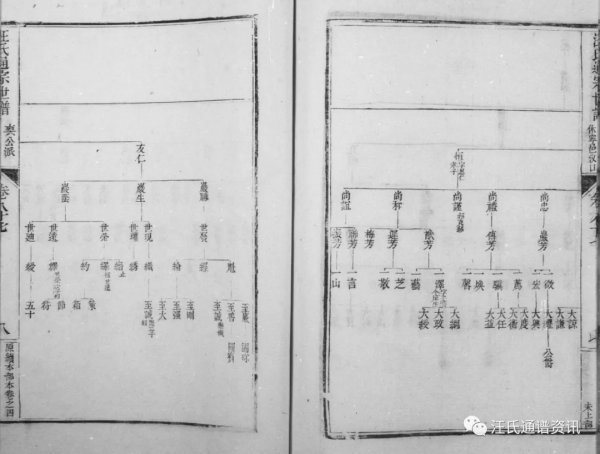 休寧率口 汊口 楊村 小坑 胡村 太塘 石門莊 黟李村 西幹 江寧府金陵 歙芝黃