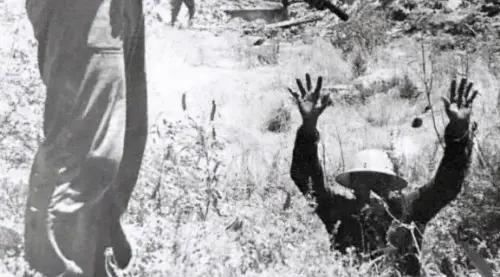 越戰中的韓國部隊有多狠?就連盟友美軍都看不下去 越戰中的韓國部隊有多狠?就連盟友美軍都看不下去