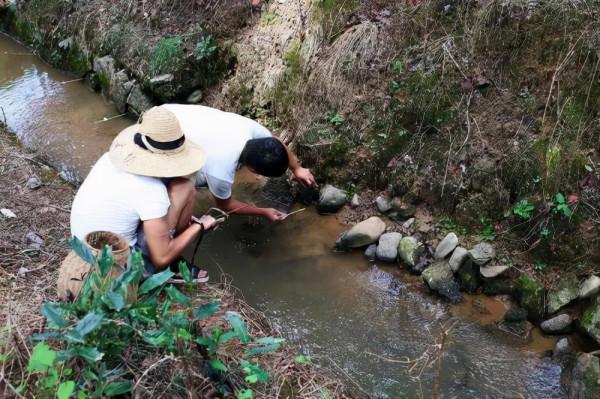 秋天別把黃鱔當魚看,偶爾換換口味,把釣黃鱔的技巧送給大家 秋天別把黃鱔當魚看,偶爾換換口味,把釣黃鱔的技巧送給大家