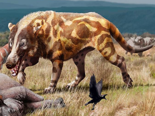 中國神農架深處真的不被允許前往嗎?為什麼要設立人類禁區? 中國神農架深處真的不被允許前往嗎?為什麼要設立人類禁區?