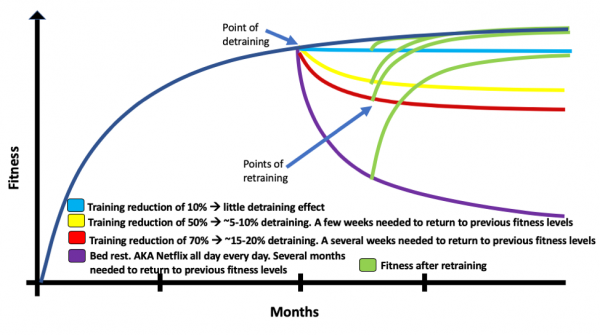 停練可怕嗎？不理解身體規律就可怕