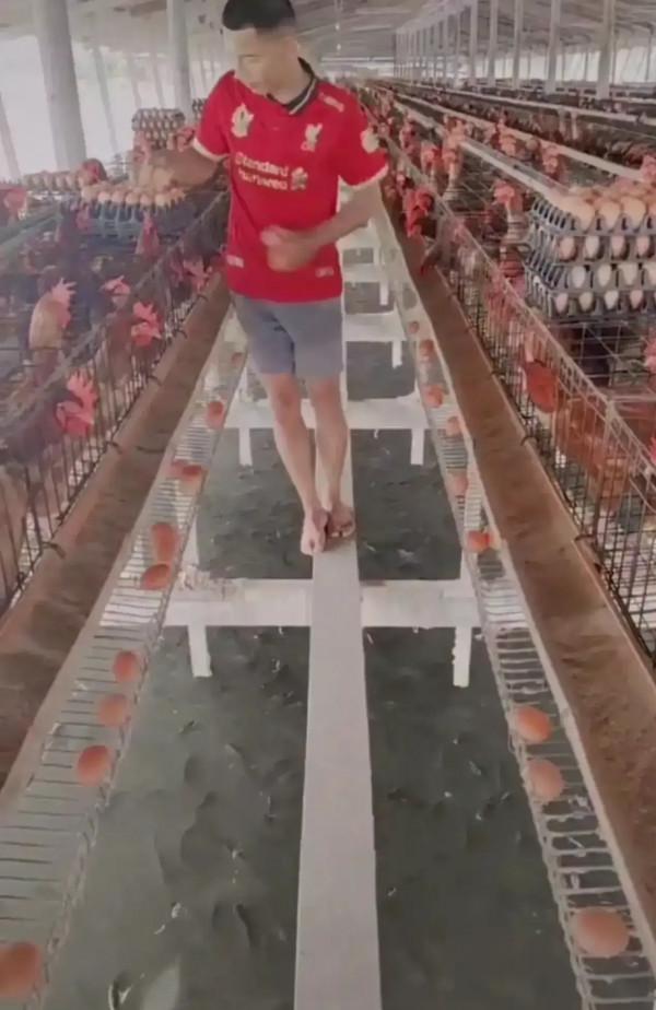 這張老照片只認得出成龍和賈玲，其他兩個是誰？