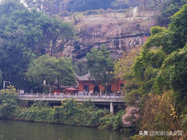 只是逛個公園，沒想卻有這麼多景點，看到臘梅確實讓人格外驚喜