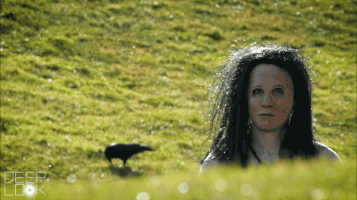 動物比人更深情,面對同伴死去,動物哀悼的方式讓人心酸、淚目 動物比人更深情,面對同伴死去,動物哀悼的方式讓人心酸、淚目