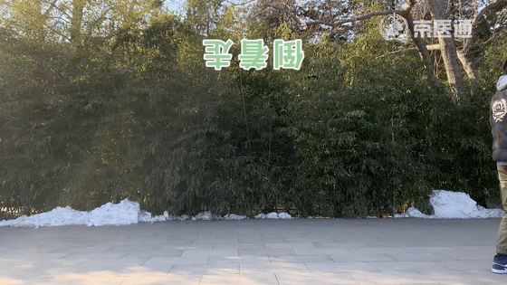 6000步還是10000步？怎樣才是健康的走路方式