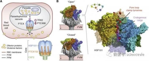 世界上解析度最高的照片,甚至可以看清原子的模樣! 世界上解析度最高的照片,甚至可以看清原子的模樣!