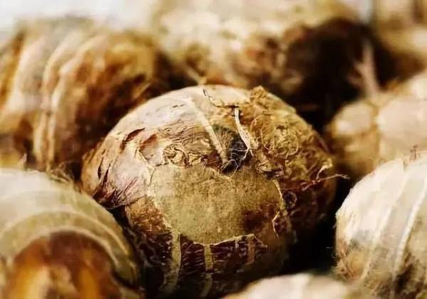 潮汕中秋為什麼要吃芋頭 潮汕中秋為什麼要吃芋頭