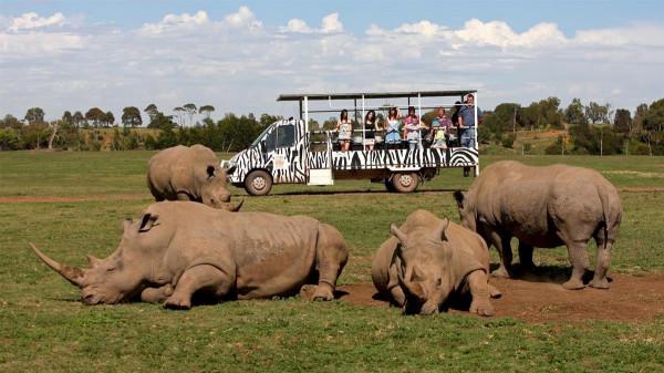 人類有沒有可能像被圈養的動物，時刻被一個高等文明注視著？