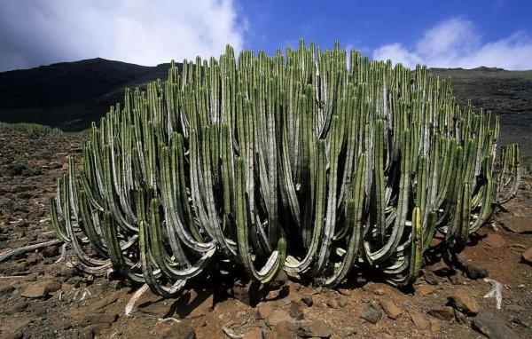 國際地理，每日精選