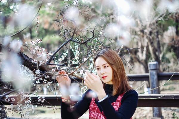 8首冬雪詩詞:夜深知雪重,時聞折竹聲 8首冬雪詩詞:夜深知雪重,時聞折竹聲