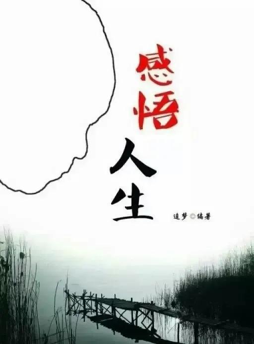 雜物與人生 雜物與人生