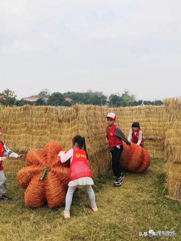 百名“小畫家”蔡甸稻田裡感知自然的魅力 百名“小畫家”蔡甸稻田裡感知自然的魅力