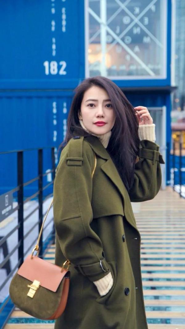 大美人——高圓圓