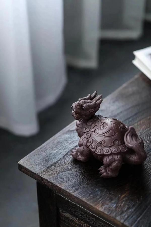 火焰龍龜，見過嗎？