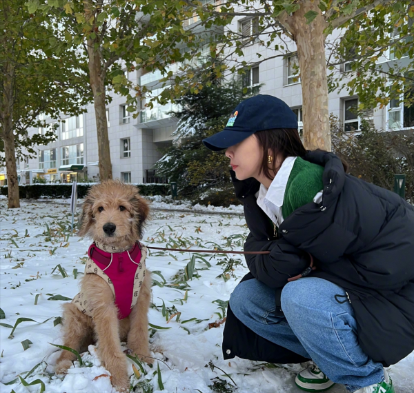 立冬遇初雪,女明星集體發玩雪照,李一桐略顯可愛,宋妍霏很炸街 立冬遇初雪,女明星集體發玩雪照,李一桐略顯可愛,宋妍霏很炸街