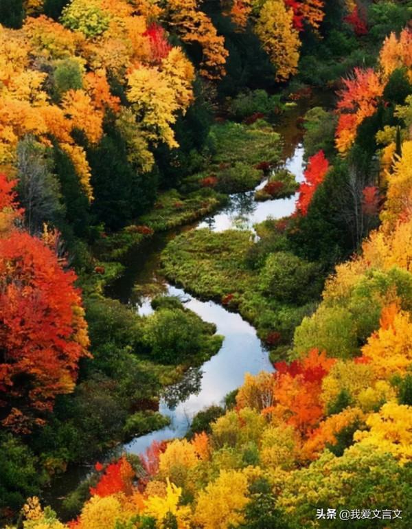十首最好的秋日詩詞,哪一首能撩動你的心絃? 十首最好的秋日詩詞,哪一首能撩動你的心絃?