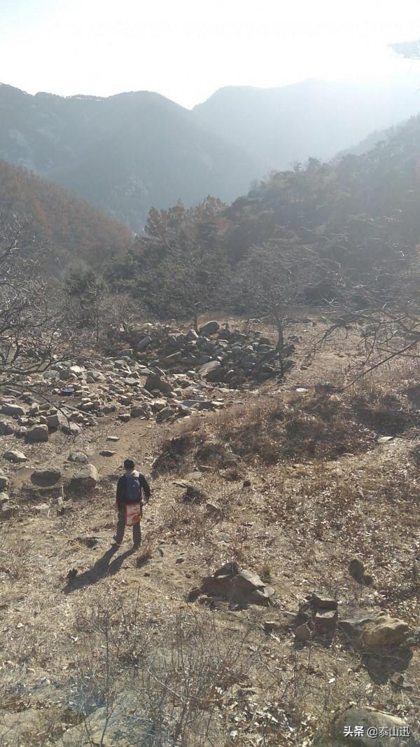 冬至驢行泰山之黃石崖，老平臺，映霞峰，桃花峪東西穿越