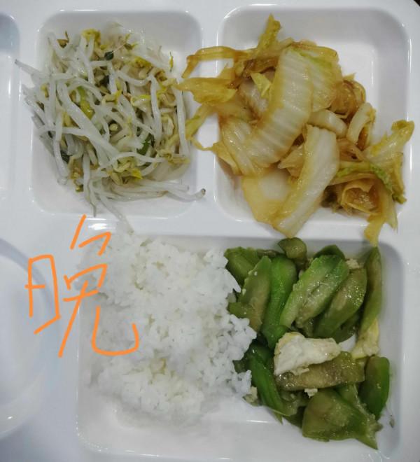 打卡第20天 打卡第20天