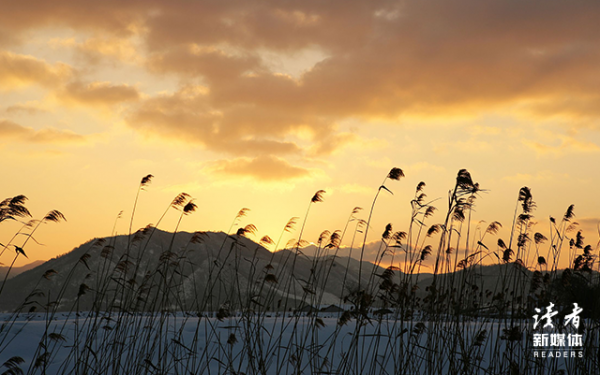貧窮不僅會限制你的想象力,還會影響你對人生的判斷力 貧窮不僅會限制你的想象力,還會影響你對人生的判斷力