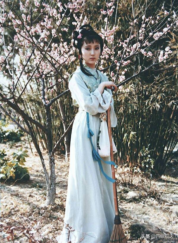 冷眼看紅樓：林黛玉為何要配許多薔薇硝？她在努力維繫自己的社交