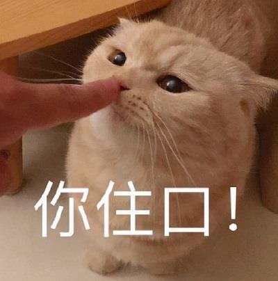 您有一份新的春節健身指南，請查收