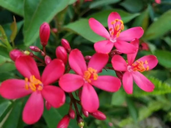 王森新哲學之：《論風度》