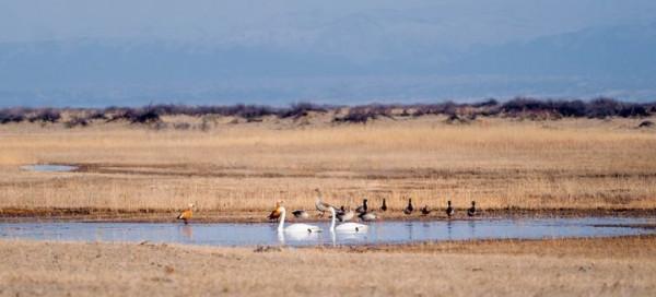 你想要來的新疆2022年是這樣的