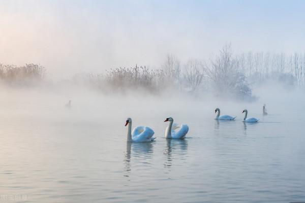 12月去哪玩?這8個美如畫卷的小眾打卡地,一到冬天就美成了仙境 12月去哪玩?這8個美如畫卷的小眾打卡地,一到冬天就美成了仙境
