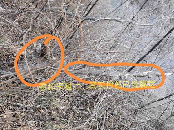 戶外爬山小技巧，你一定要知道的安全小常識