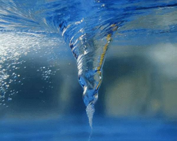 到底能不能在馬桶裡看到科氏力的漩渦？