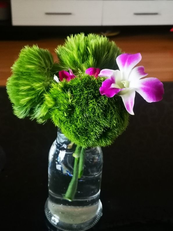 最近流行的簡約風綠色，這3種植物，納涼經典又好養