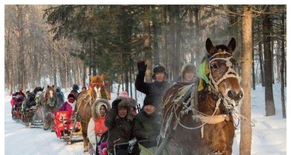 二丫和五狼夜行松江雪道血戰狼群，秦高趁機逃走卻被五狼捉回