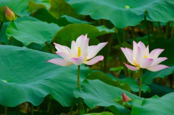 退休後的社交潛規則：我不麻煩你，你也別來麻煩我