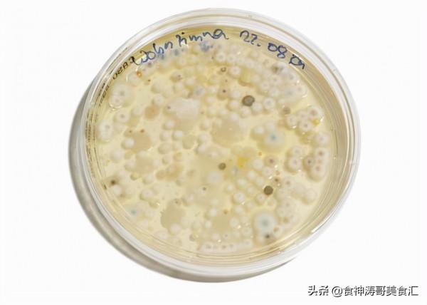 都說東北是美食的“荒漠”,那是不瞭解黑龍江,看看當地10大美食 都說東北是美食的“荒漠”,那是不瞭解黑龍江,看看當地10大美食