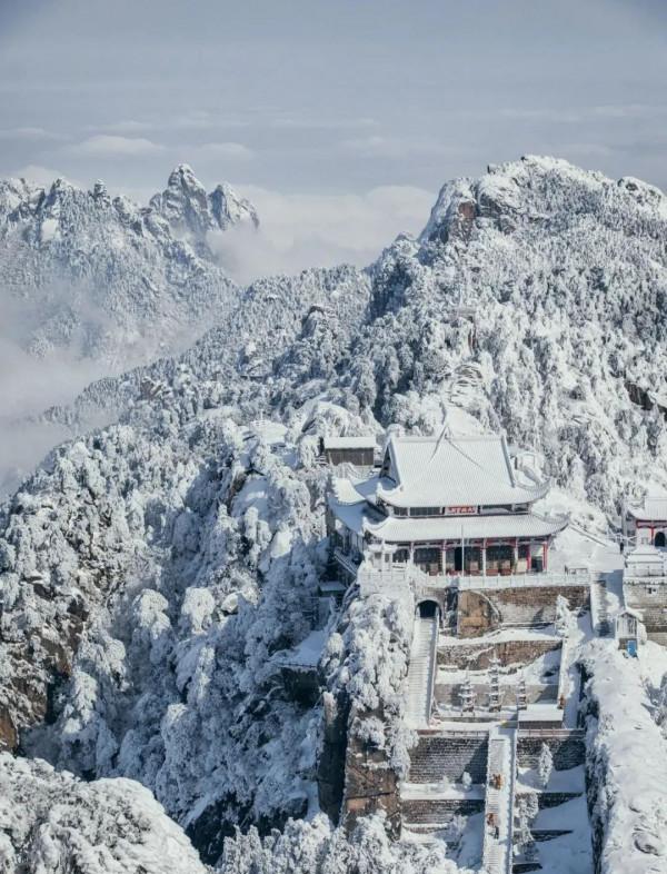 成年人玩得這麼野，小心把命都玩丟了