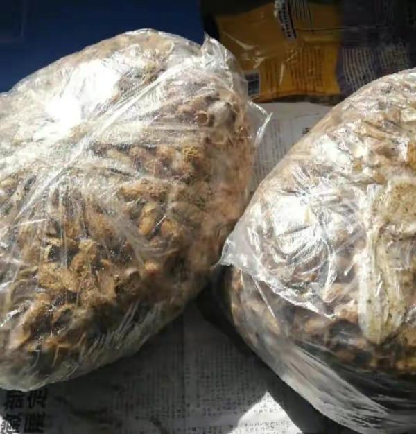 這些“垃圾”不要扔，用來養花效果好，既環保又省錢