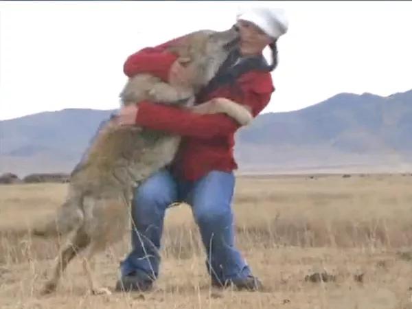 2017年,牧民收養斷腿孤狼,花1萬元安假肢,還誇它是最忠誠夥伴 2017年,牧民收養斷腿孤狼,花1萬元安假肢,還誇它是最忠誠夥伴