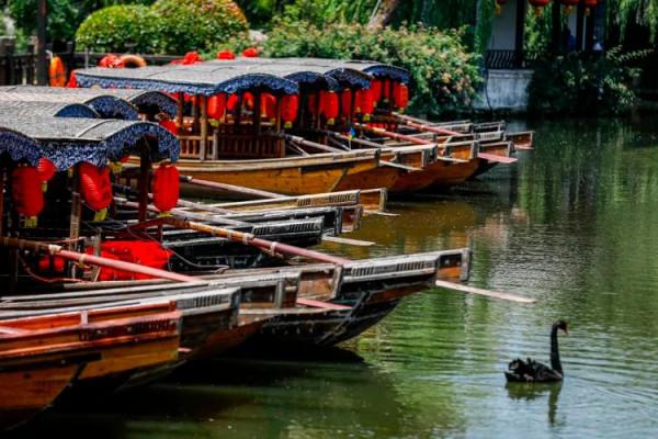 “一元”品嚐黃花牛肉麵 重陽節來臺兒莊古城閱盡秋日好風光 “一元”品嚐黃花牛肉麵 重陽節來臺兒莊古城閱盡秋日好風光