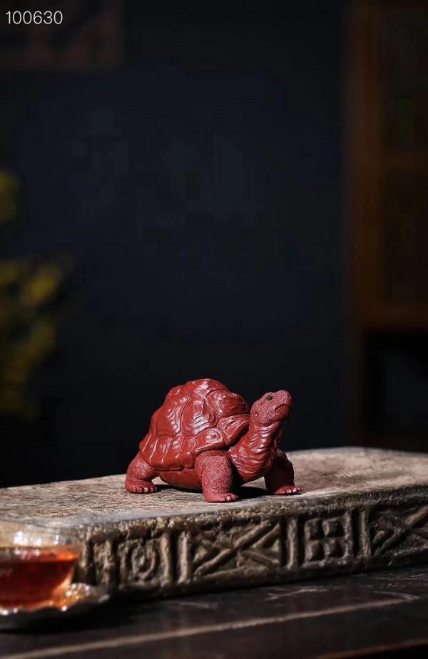 禪雲壽龜，逼真嗎？