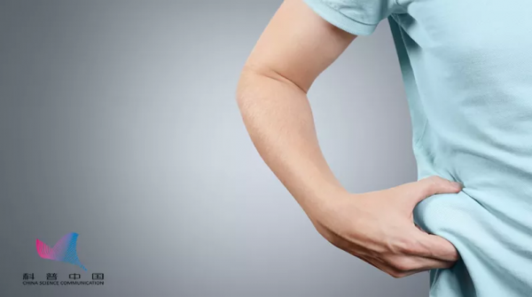 小肚子上的贅肉是怎麼形成的？如何能把它減掉？